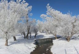 فراخوان تور گردشگری از مناظر زیبای برف انبار