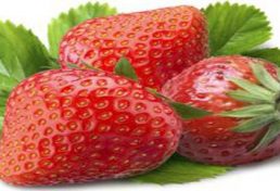 پرداخت تسهیلات تا سقف ۱ میلیارد ریال برای فرآوری محصول توت فرنگی در استان کردستان