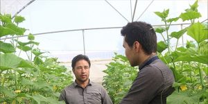 نظام مهندسی کشاورزی خراسان شمالی نهصد و شصت و چهار شغل ایجاد کرد