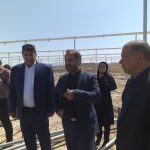 ایران سازه‌ گل‌خانه‌ای صادر می ‌کند
