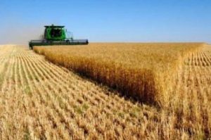 بازرسی دفاتر خدمات کشاورزی غیردولتی در مرودشت