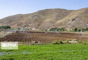 راه اندازی مراکز خدمات کشاورزی در پنجاه و یک دهستان خراسان جنوبی