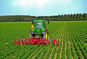 سازمان نظام مهندسی کشاورزی با همکاری هیئت مقررات زدایی به دنبال تسهیل فعالیت تولید کنندگان