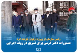رئیس سازمان از پروژه ارغوان بازدید کرد/دستورات کرمی برای تسریع در روند اجرایی