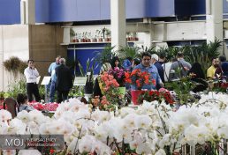 نخستین نمایشگاه تخصصی گل و گیاه و باغبانی استان یزد در آستانه نوروز