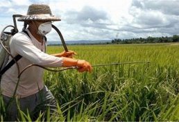 ایرج بهرامی: تولید محصولات سالم در گروه کاهش مصرف سموم کشاورزی