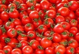 صدور نخستین گواهی ارتقا سلامت محصولات گیاهی در استان فارس